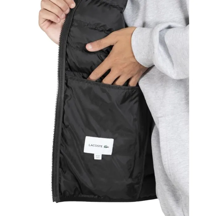 Chaleco Lacoste Blouson