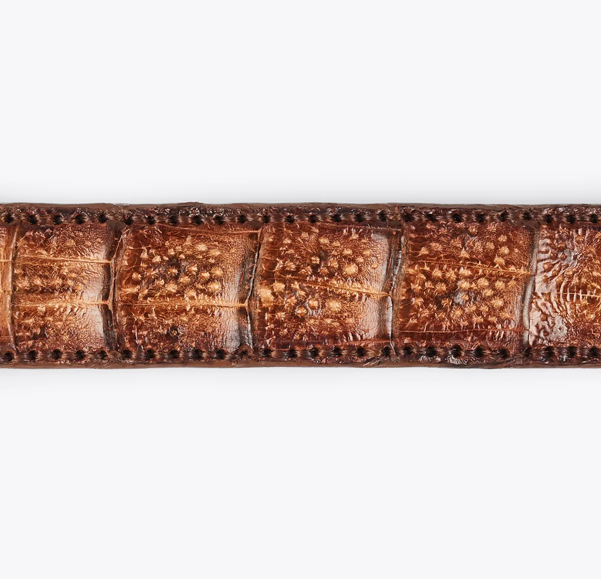 Cinturón Cocodrilo Tostado