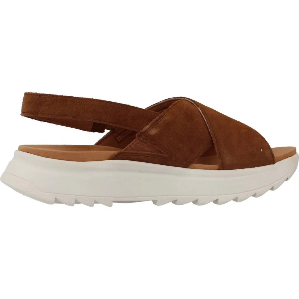 CLARKS