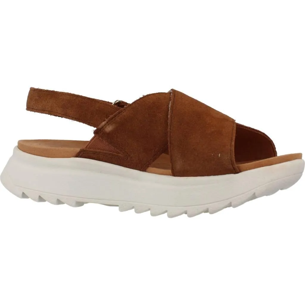 CLARKS