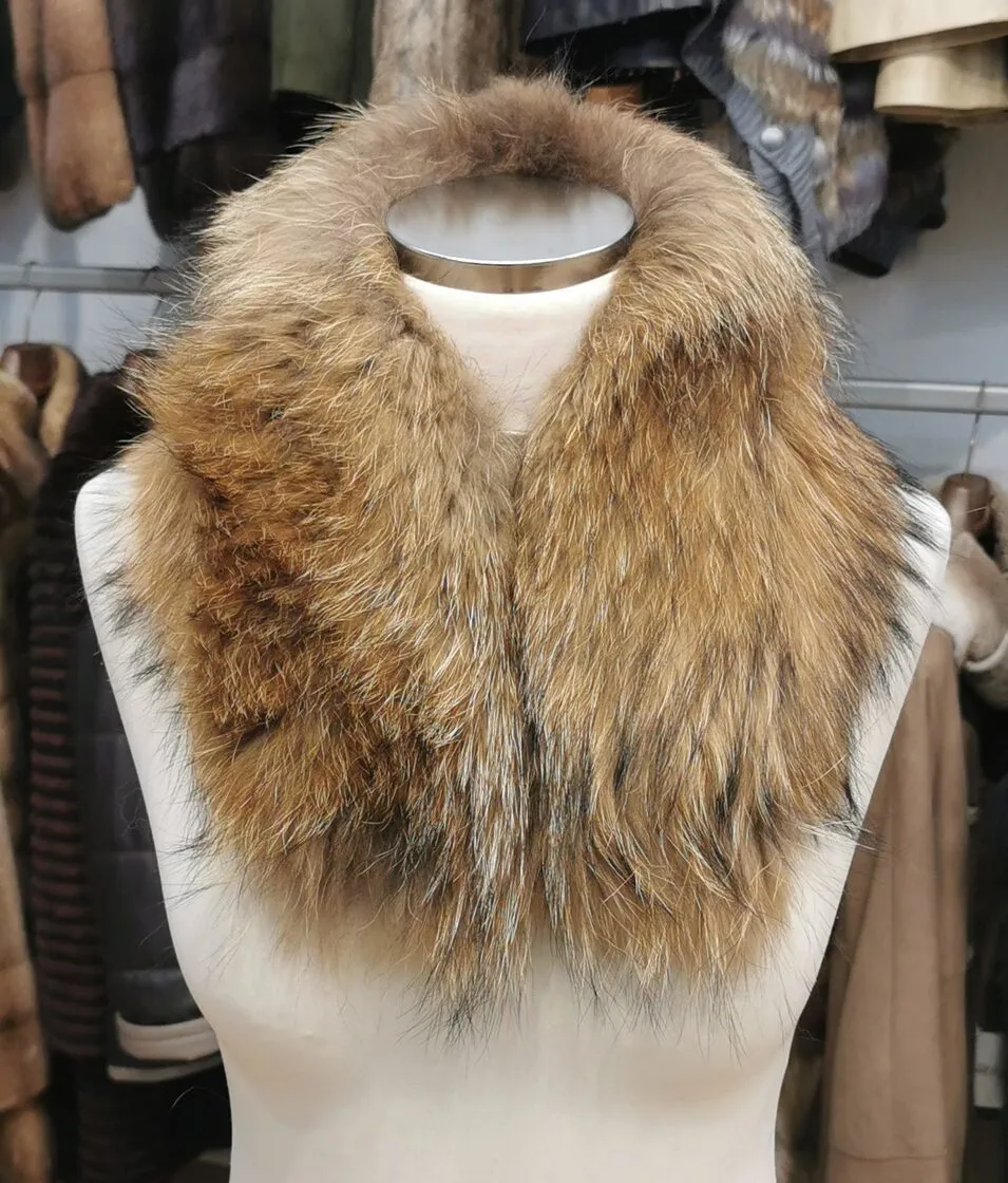 Cuello camisero Raccoon