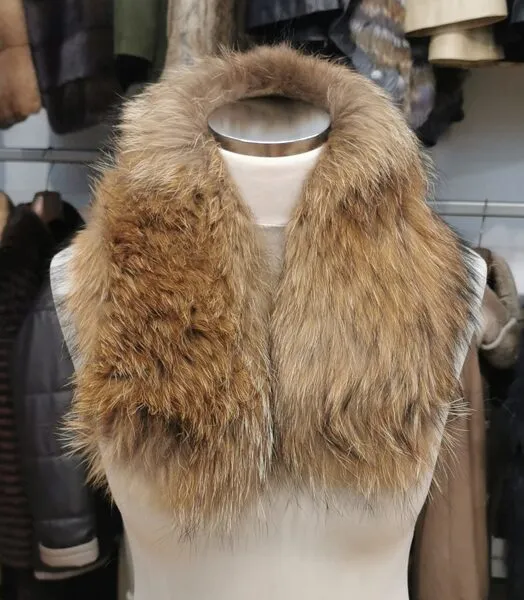 Cuello camisero Raccoon