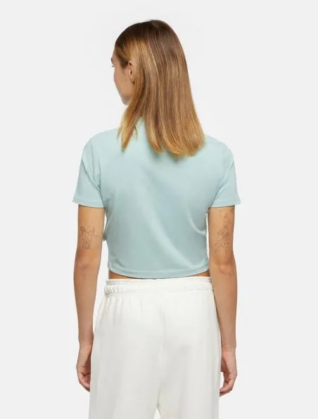 DICKIES Camiseta Maple Valley Mujer Light Blue