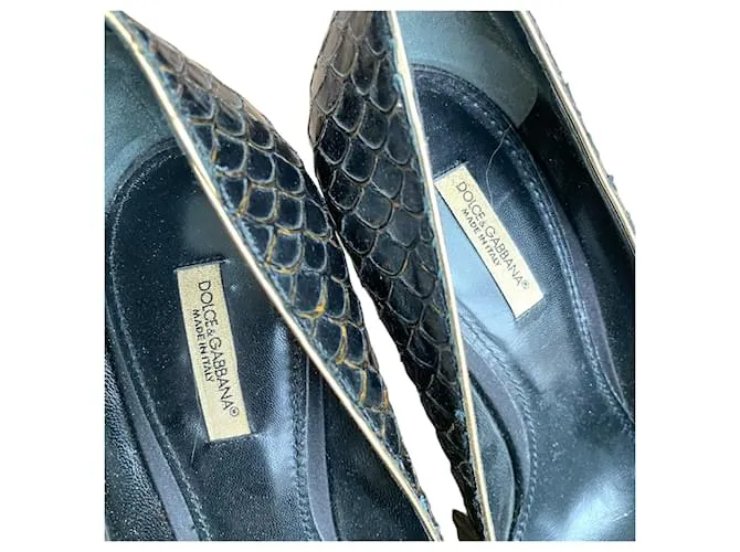 Dolce & Gabbana Zapatos de tacón Negro 
