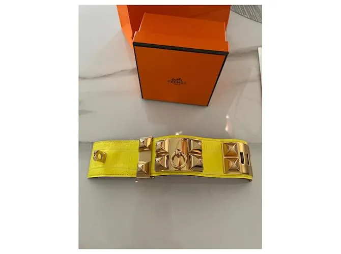 Hermès Collier de chein Amarillo 