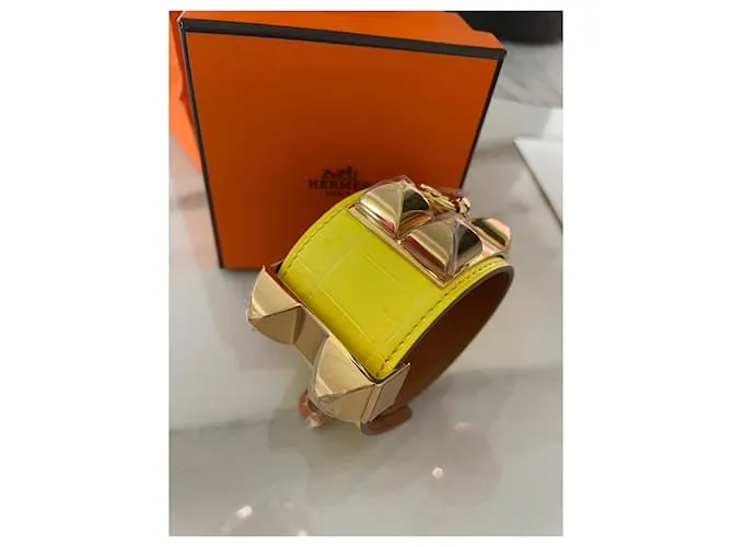Hermès Collier de chein Amarillo 