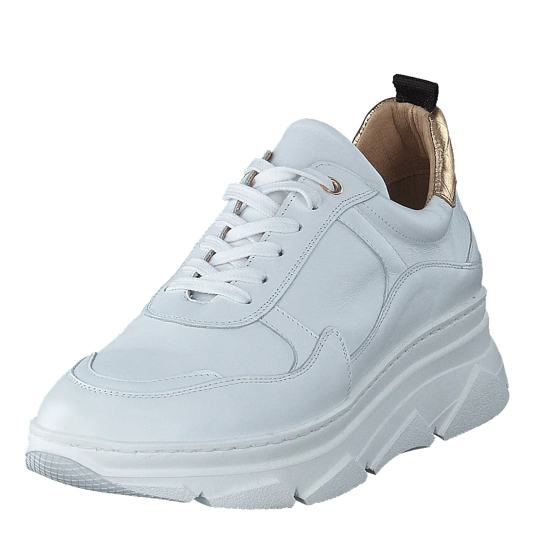 KMB zapatos Quingo Bco White + Croc Gold