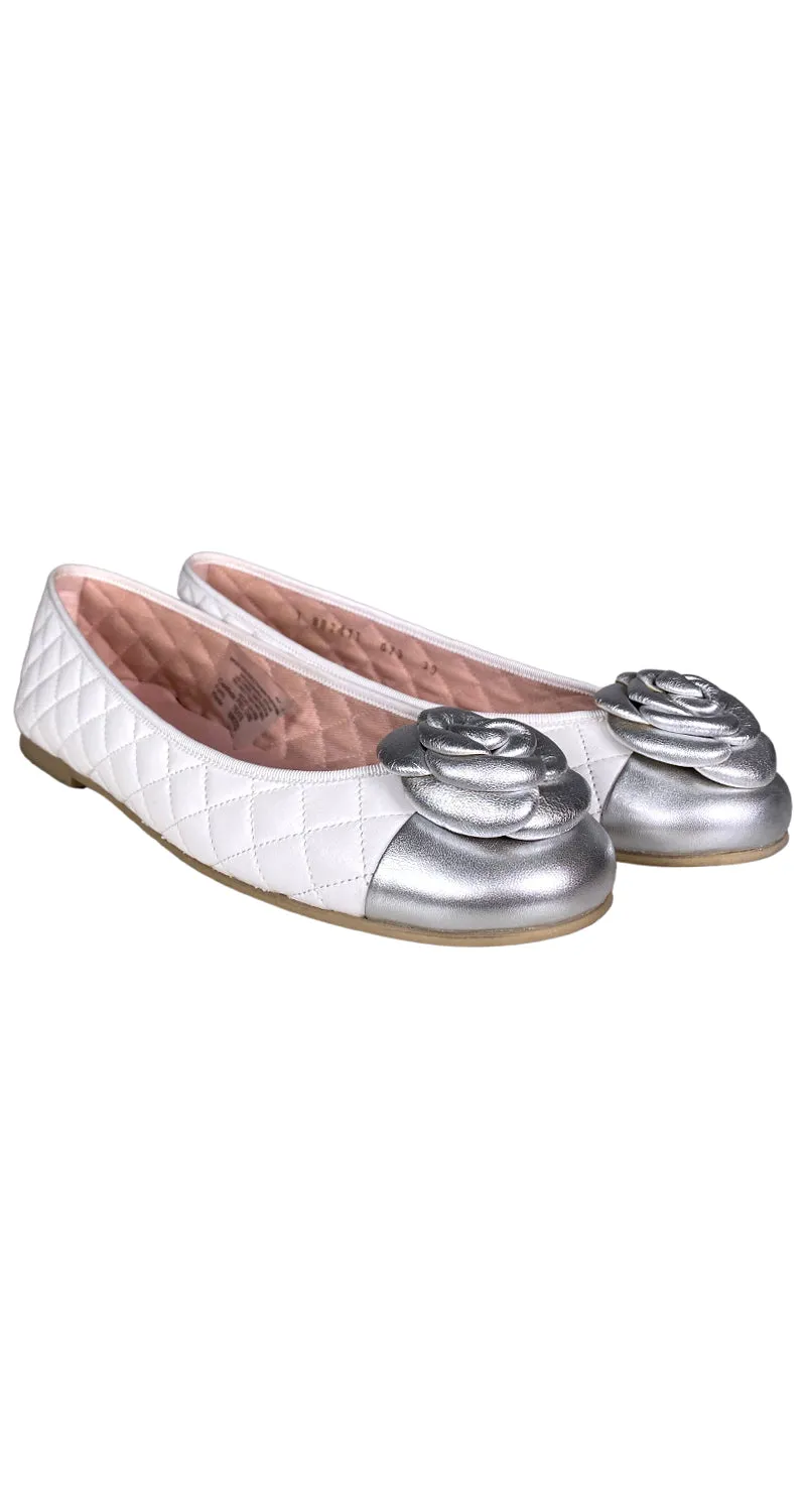 PRETTY BALLERINAS Bailarinas Ami Plata