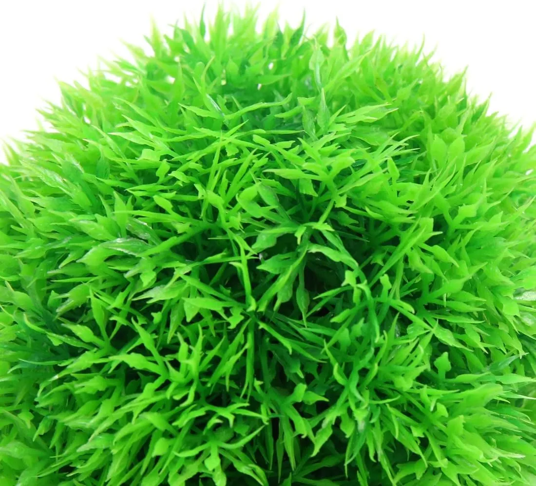 Ruilogod Green Plástico Aguj hierb Bola Pesca Tanque Aquarium Aguantente Acuario W Stand