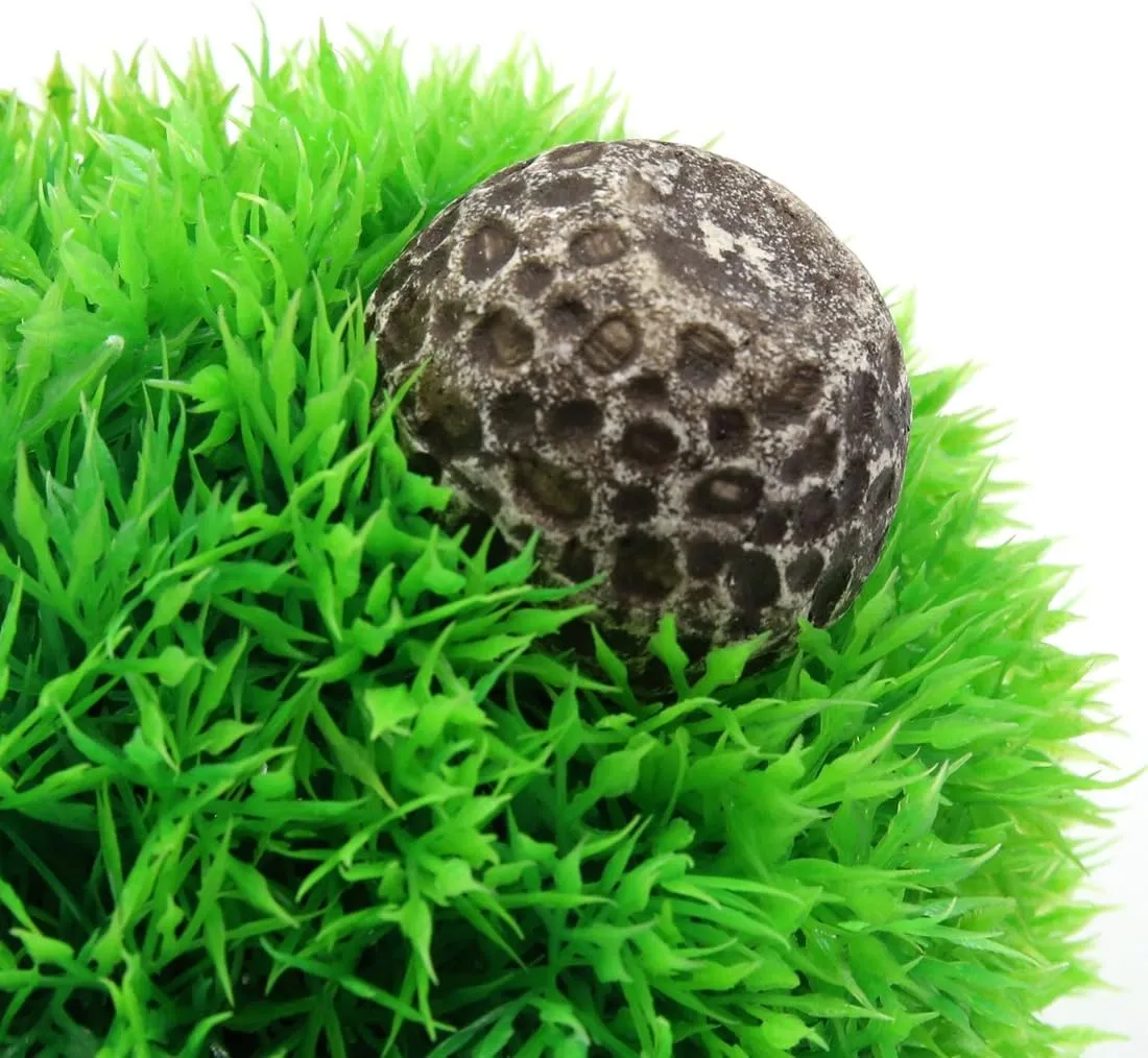 Ruilogod Green Plástico Aguj hierb Bola Pesca Tanque Aquarium Aguantente Acuario W Stand
